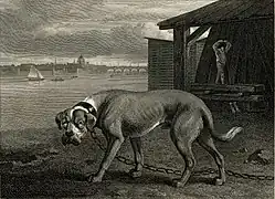 Die Illustration aus 1804 zeigt einen Bandog (Mastiff), der einen Handwerksbetrieb bewacht