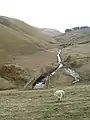 Oberlauf des North Esk als Grenze zwischen Midlothian und den Scottish Borders