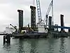 Sea Jack