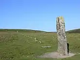 Steinreihe von Drizzlecombe