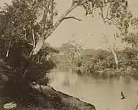 Der Yarra River nahe Studley Park, um 1858