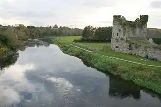 Der River Nore in Thomastown (2007)