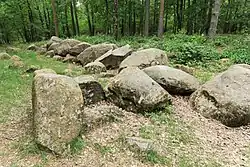 Großsteingrab in der Kunkenvenne