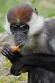 Porträt