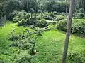 Besuchergelände der Berberaffen