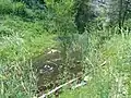 Der Weiher