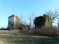 Burgruine Vernode