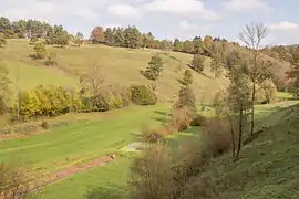 Trockenrasen im Todsfelder Tal