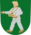 Wappen von Toivakka