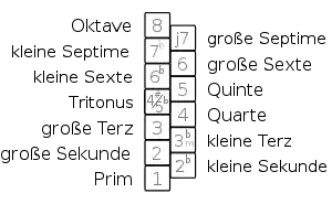 Schema