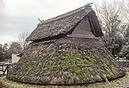 Erdgrubenwohnung