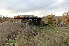 Dolmen Su Crastu Covaccadu