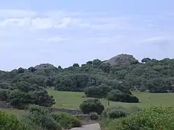 Fernansicht