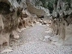 Bachbett imGorg des Capellà