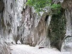 TropfenquelleFont des Degotís
