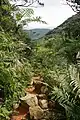 Bergpfad zum Omoto-dake