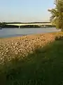 Stützpfeiler des ehemaligen Eisenbahntrajektes Bonn, linksrheinisch, bei Niedrigwasser