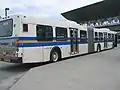 Gelenkbus in Burnaby