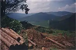 Landschaft bei Sabie