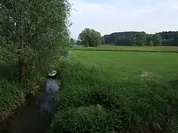 … bei Ramsenthal