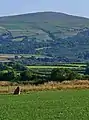 Trellyffaint Standing Stone