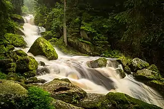 Triberger Wasserfälle, obere Stufen