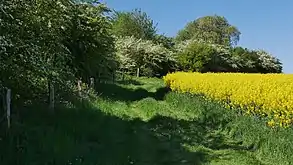 Büsche am Rand des Schutzgebiets