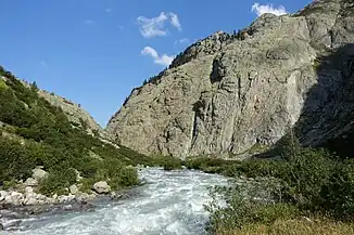 Mit dem Bau einer Staumauer würde der Wildbach auf wenig Restwasser reduziert und …