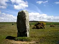 Trippet stones