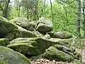 Am steil zum Weschnitztal hin abfallenden Trommhang findet man eine große Zahl mächtiger Felsburgen und Blockhalden, z. B. die Lindenstein-Trommgranit-Formation.