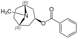 Tropacocain