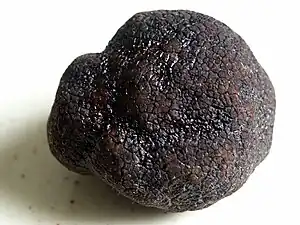 Trüffel: Perigord-Trüffel