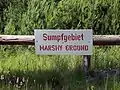 Sumpfige Naturlandschaft