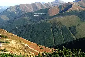 Unterhalb des Trzydniowiański Wierch