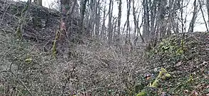 Blick nach Osten: links die Vorburg, mittig ein Arm des Halsgrabens, rechts: Zwischenstück