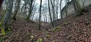 Ri. Osten: Links: Zwischenstück, Mitte: Halsgraben (Hauptteil), Rechts (Süden): Kernburg (Schildmauer Palas)