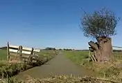 Graben in polder zwischen Ameide und Meerkerk