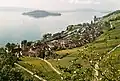 Blick auf die St. Petersinsel aus nördlicher Richtung, im Vordergrund Twann