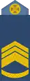 Старший майстер-сержант (Senior Master Sergeant)