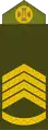 Головний сержант (Chief Sergeant)