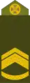 Майстер-сержант (Master Sergeant)