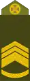 Старший майстер-сержант (Senior Master Sergeant)