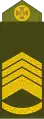 Головний майстер-сержант (Chief Master Sergeant)