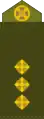 Старший лейтенант (Oberleutnant)