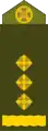 Полковник (Oberst)