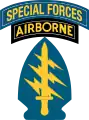 Shoulder Sleeve Insignia (dt. „Schulter-Ärmel-Abzeichen“)
