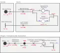 Zugehöriges UCM-Diagramm