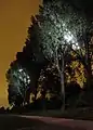 Lichtinszenierung am Abend