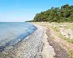 Boddenstrand beim Langen Moor