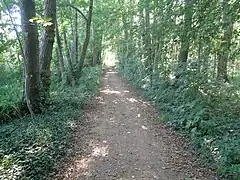 Uferweg am Wutzsee